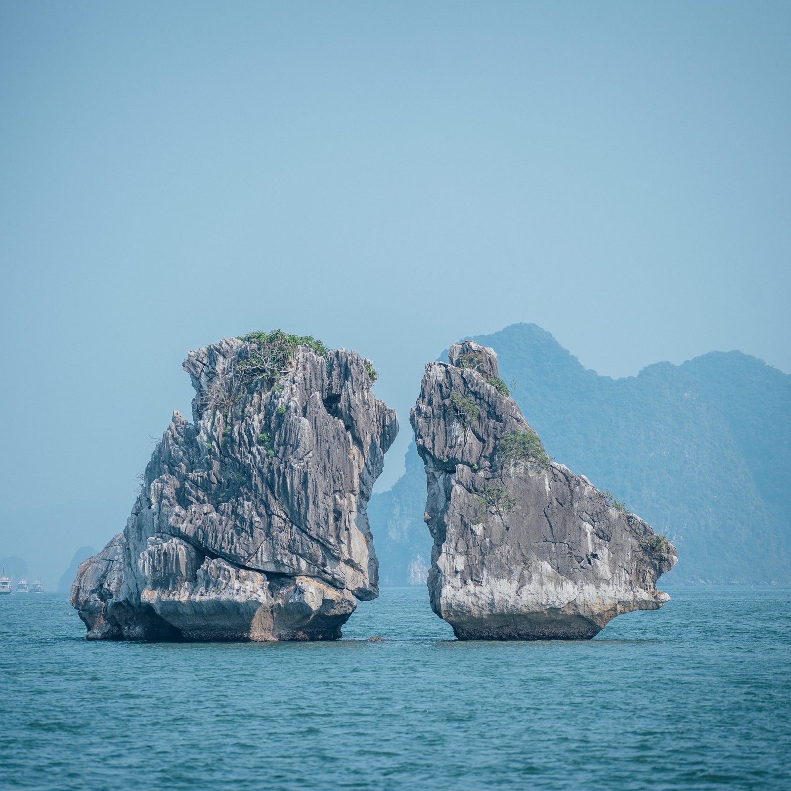 365 Travels