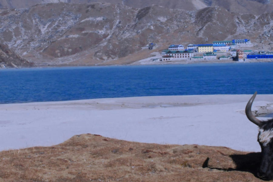 Everest Base Camp Trek with Cho La and Renjo La pass