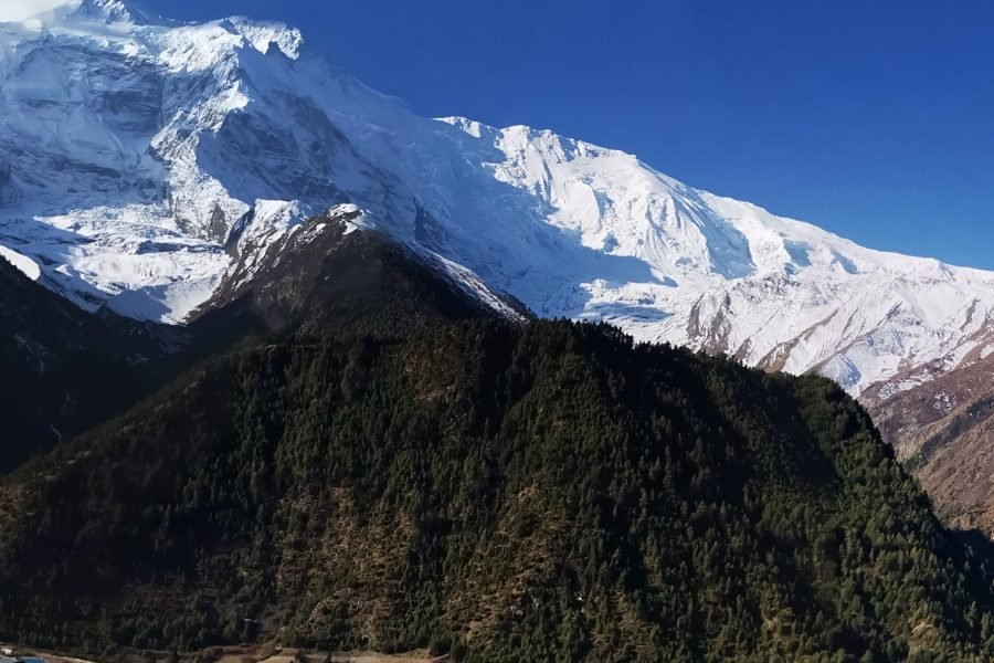 Manang