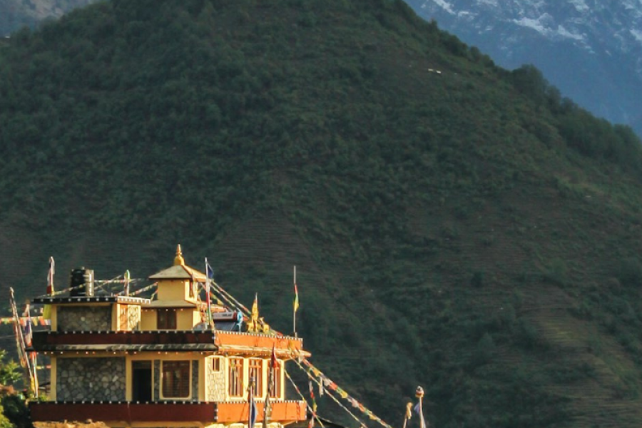 Nepal Odyssey: Cultural Heritage, Wildlife Adventure & more