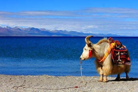 Lhasa to Everest Base Camp & Kathmandu: 7-Days